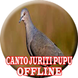 O canto da juriti pupu (OFFLINE) أيقونة
