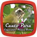 Canto Para Esquentar o Trinca Ferro Mp3