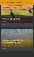 Seriema ave com canto mais lindo ảnh chụp màn hình 3