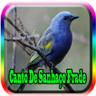 Canto de Sanhaço frade Águia icon