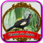 Canto Do jacu Mp3 ikona
