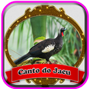 Canto Do jacu Mp3 APK