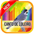 آیکون‌ Canto De Coleiro TuiTui 2017