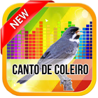 Canto De Coleiro TuiTui 2017 آئیکن