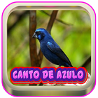 Canto De Azulao Palco Mp3 icône