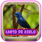 Canto De Azulao Palco Mp3 ไอคอน