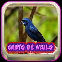 Canto De Azulao Palco Mp3 screenshot 3