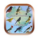 Canto de Papa Capim|Coleiro Tui Tui Zel Zel Ofline APK