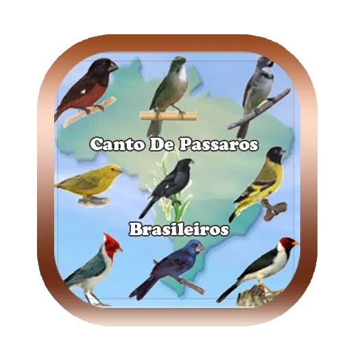 Canto de Papa Capim Tui Tui - Apps on Google Play