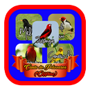 CANTO PATATIVA CHORONA mp3 OFFLINE APK