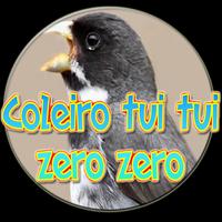 Coleiro tui tui zero zero-poster