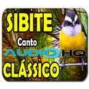 canto do pássaro sibite clasico APK