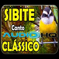 canto do pássaro sibite clasico-poster