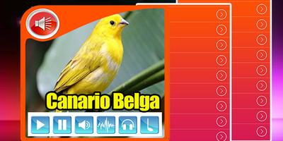 Canto De Canario Belga 2017 পোস্টার