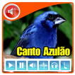 Canto Azulao