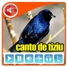 Canto De Tiziu 2017 biểu tượng