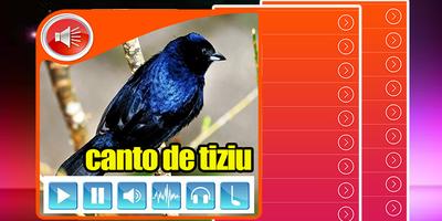 Canto De Tiziu 2017 पोस्टर