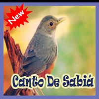 Cantos De Sabia Mp3 Affiche