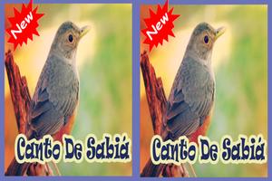 Cantos De Sabia Mp3 截图 1