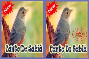 Cantos De Sabia Mp3 Ekran Görüntüsü 2