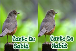 Cantos De Sabia Mp3 截图 3