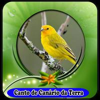 Canto De Canário Da Terra mp3|100% Offline ảnh chụp màn hình 3
