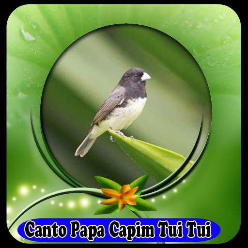 Descarga de APK de Canto Papa Capim Tui Tui Puro para Android