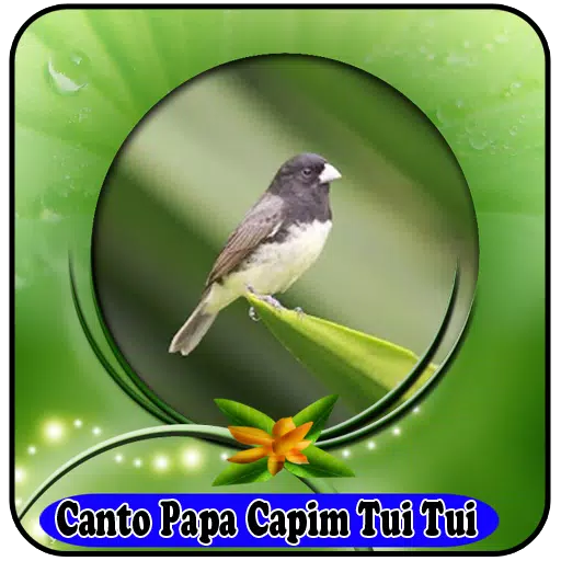 Canto de Papa Capim Tui Tui - Apps on Google Play