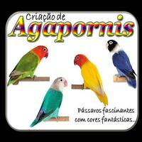 canto de agroporni पोस्टर