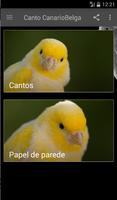 Canary bird sound poster