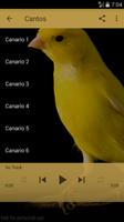 Canary bird sound screenshot 1
