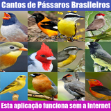 Cantos de Pássaros Brasileiros icon