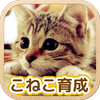 ねこ育成ゲーム - 完全無料！子猫をのんびり育てるアプリ！かわいいねこゲーム！ APK