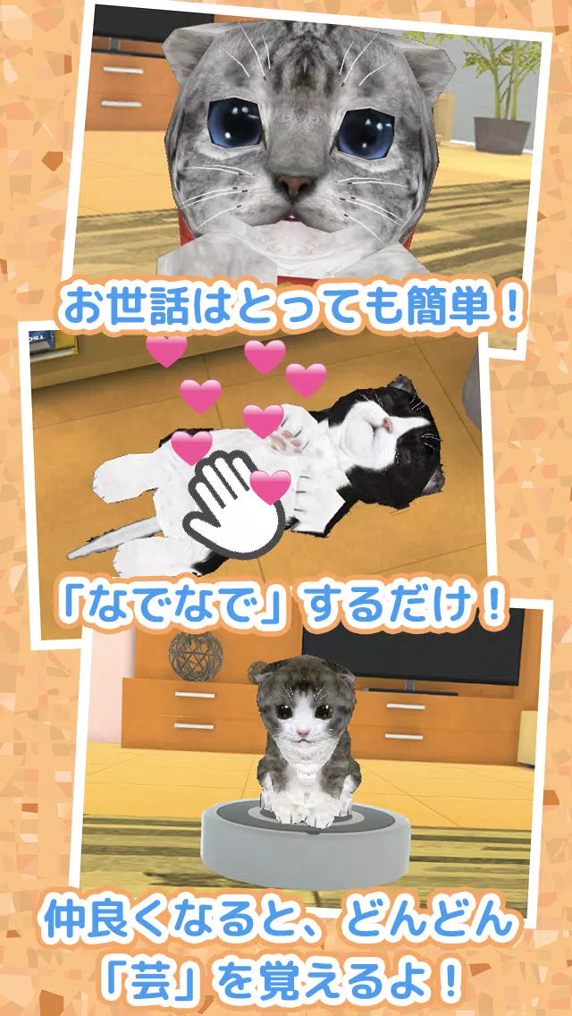 ねこ育成ゲーム 完全無料 子猫をのんびり育てるアプリ かわいいねこゲーム 安卓下载 安卓版apk 免费下载