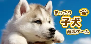 子犬のかわいい育成ゲーム - 癒しの犬育成アプリ