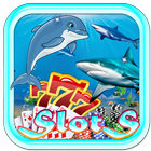 Shark Vs Dolphin Casino Slots icône