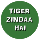 Tiger Zindaa Hai Song_Mv icône