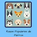Razas Populares de Perros APK