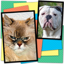 Cats Vs Dogs Action Memory APK