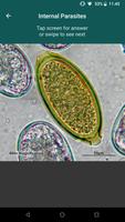 CAPC Internal Parasites ID capture d'écran 1