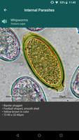 CAPC Internal Parasites ID capture d'écran 2