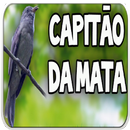 Canto do Capitão do Mato APK