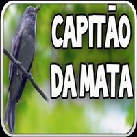 Canto do Capitão do Mato Ekran Görüntüsü 2