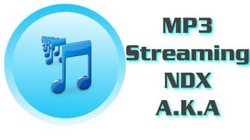 MP3 NDX A.K.A capture d'écran 1