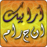 Arabic Anagram icône
