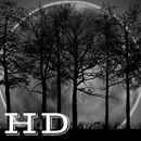 Moon Wallpapers APK