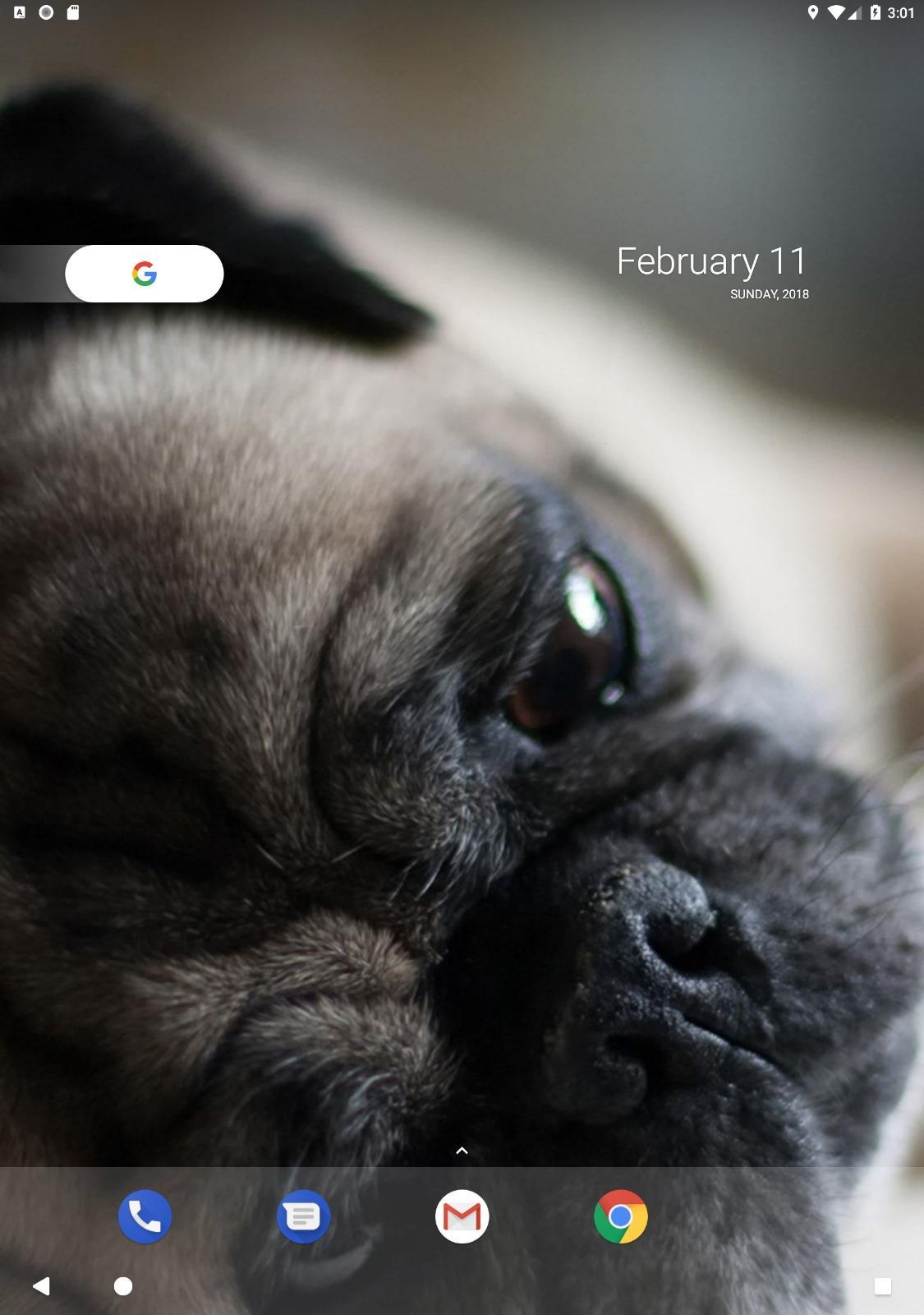 Android 用の パグの壁紙 Apk をダウンロード
