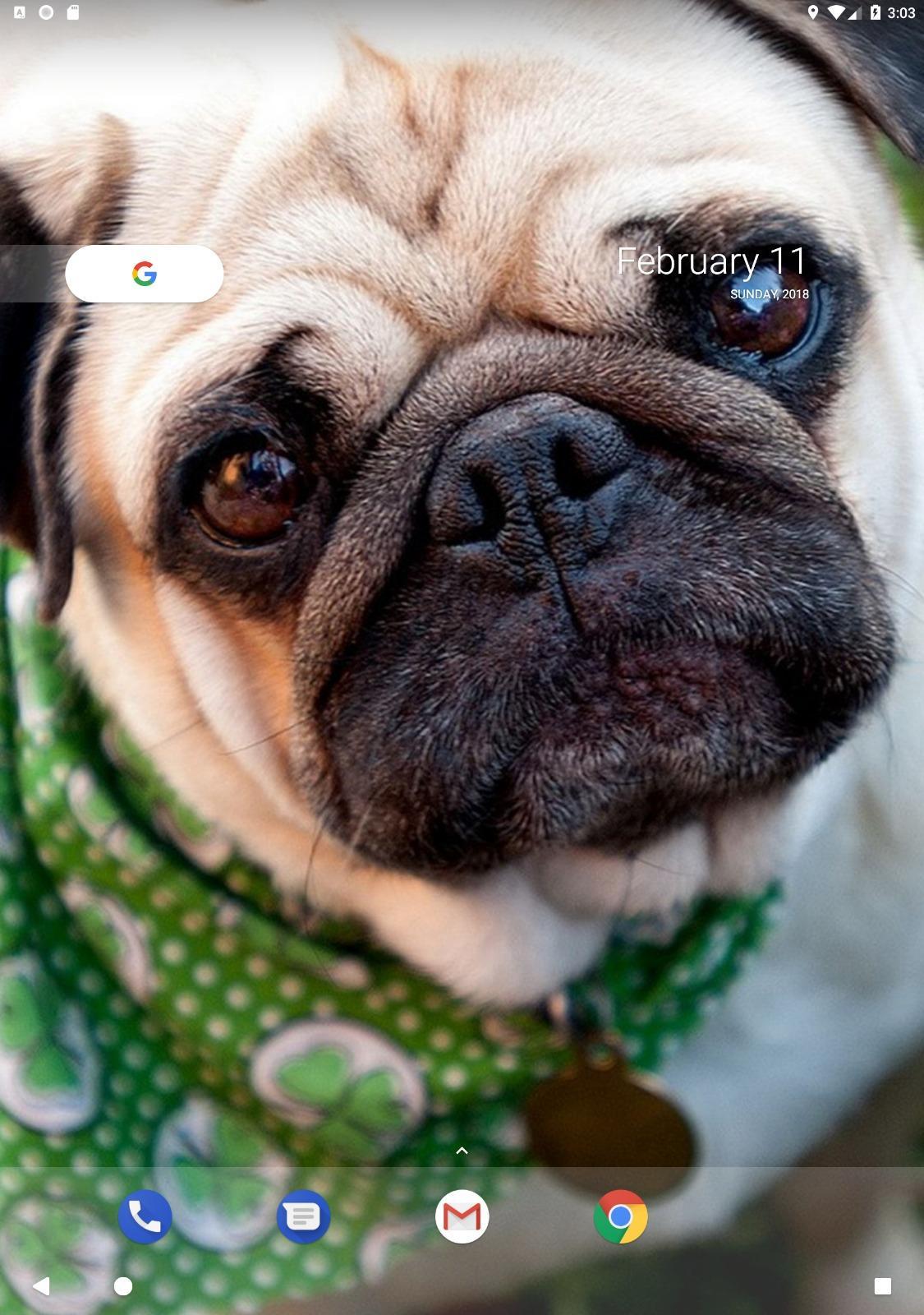 Android 用の パグの壁紙 Apk をダウンロード