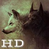 Wolf Wallpapers آئیکن