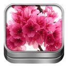 ikon Beautiful Spring Flowers Wallpaper HD